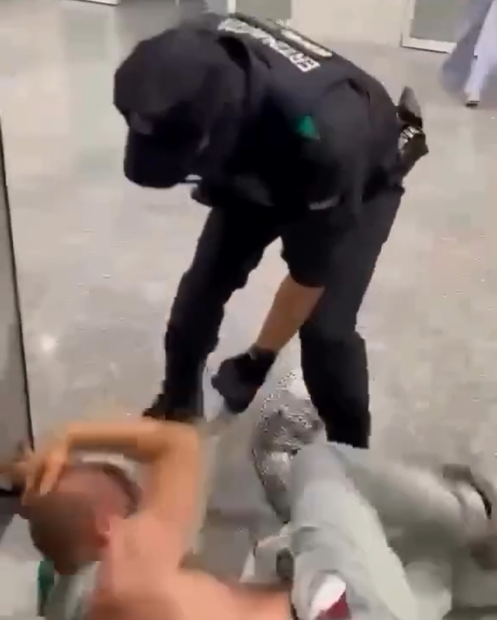 Recibimiento policial en España